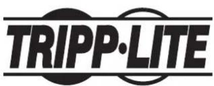 Tripp Lite S3M100KXD - WEEE Compliance Information for Tripp Lite Customers and Recyclers (European Union) - 5