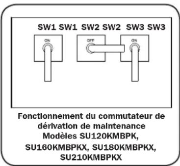 Tripp Lite SU100KMBPKX - Fonctionnement normal - 1