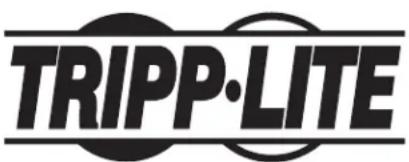 Tripp Lite PDUBHV101U - Renseignements sur la conformité à la directive DEEE pour les clients de tripp lite et les recycleurs (union européenne) - 2