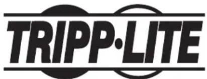 Tripp Lite BP480V09 - Información de cumplimiento con WEEE para clientes y recicladores de Tripp Lite (Unión Europea) - 2