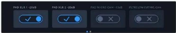 Blackmagic Design URSA Broadcast G2 - Niveau canal 1 et 2 - 1