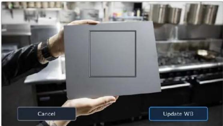 Blackmagic Design URSA Broadcast G2 - Auto White Balance - 1