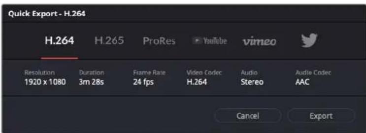 Blackmagic Design URSA Broadcast G2 - To use Quick Export: - 1