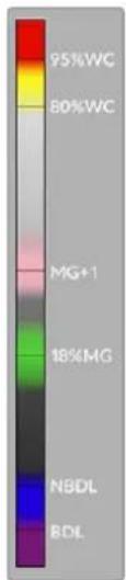 Blackmagic Design URSA Broadcast G2 - Fausses couleurs - 1