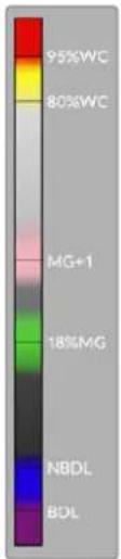 Blackmagic Design URSA Broadcast G2 - Falschfarben - 1