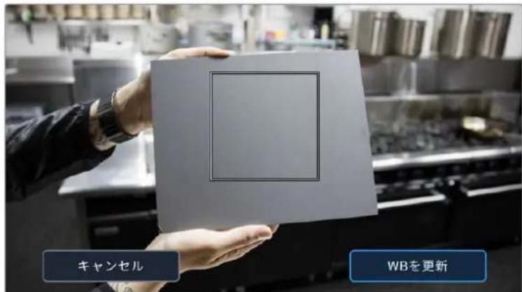Blackmagic Design URSA Broadcast G2 - 自動木フィットBARANSS（AWB） - 1