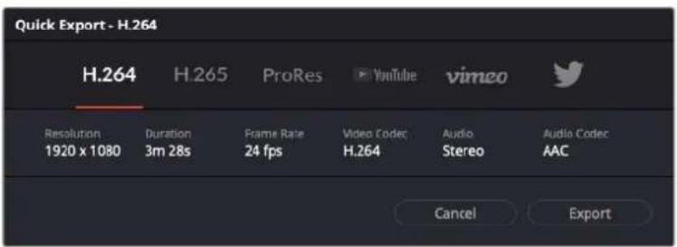 Blackmagic Design URSA Broadcast G2 - 「クイック工クスト」を使用する： - 1