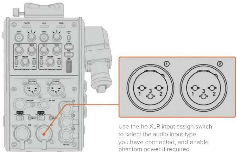 Blackmagic Design URSA Broadcast G2 - Audio Inputs - 1