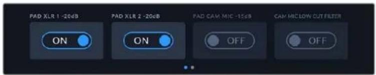 Blackmagic Design URSA Broadcast G2 - Channel 1/2 Level - 1