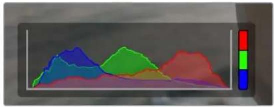 Blackmagic Design URSA Broadcast G2 - Histogram - 1