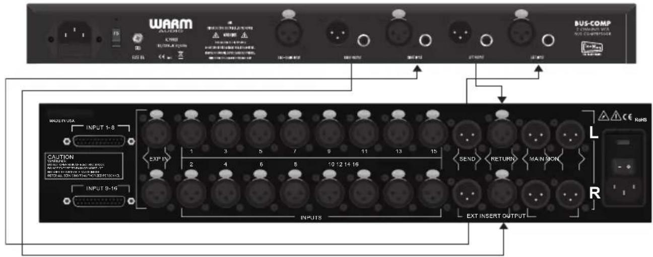 Warm Audio BUSCOMP - Connexions - 1