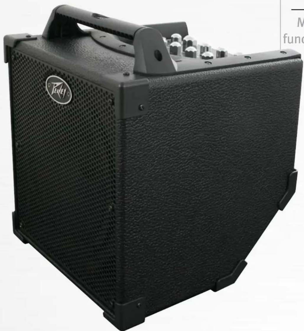 PEAVEY Nano Vypyr - INSTRUCTIONS IMPORTANTES DE SECURITE - 2
