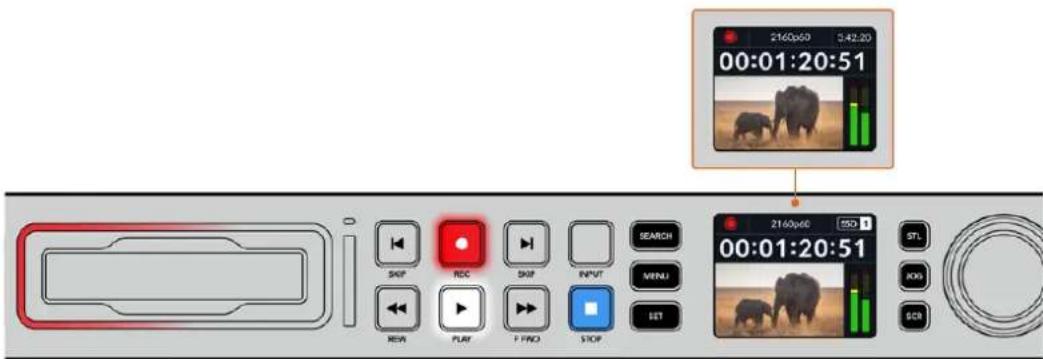 Blackmagic Design HyperDeck Studio HD Pro - 记录视频 - 1