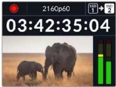 Blackmagic Design HyperDeck Studio 4K Pro - Aufzeichnen auf mehrere Datenträger - 2