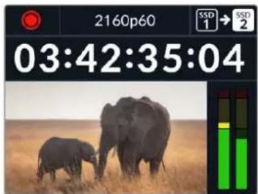 Blackmagic Design HyperDeck Studio 4K Pro - 在多个存储介质上记录 - 2