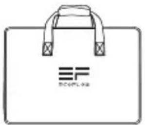 ECOFLOW 110W Solar Panel - 包装内容 - 1