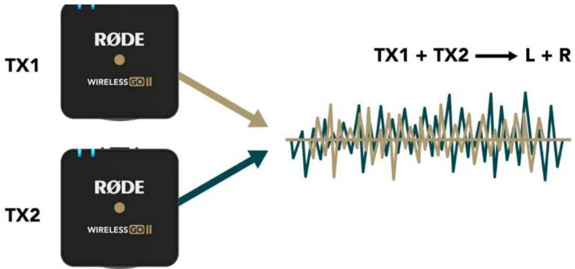 Røde Wireless GO II - Merged & Split Mode - 1