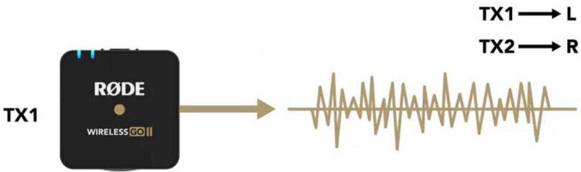 Røde Wireless GO II - Merged & Split Mode - 3