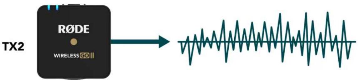 Røde Wireless GO II - Merged & Split Mode - 4