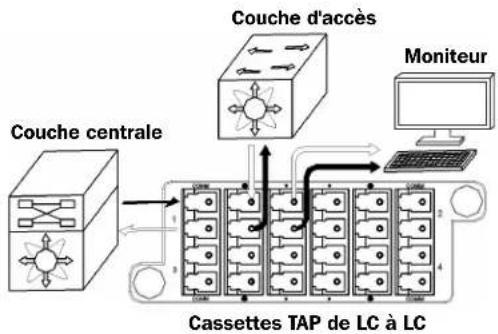 Tripp Lite N482TAP4MM73LC - Schéma du réseau TAP. - 1