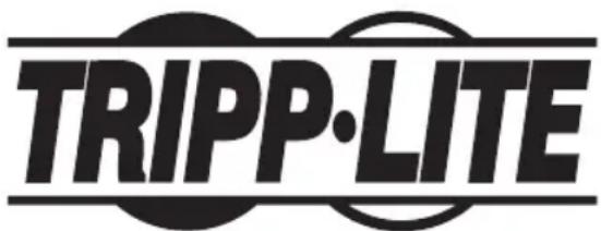 Tripp Lite NGIU08C2POE8 - WEEE-Compliance-Informationen für Tripp-Lite-Kunden und Recycler (Europäische Union) - 2