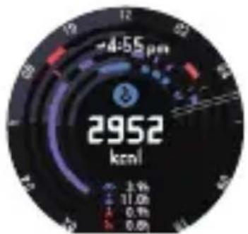 CASIO Pro Trek Smart WSDF20A - Utilisation de mon graphique - 1