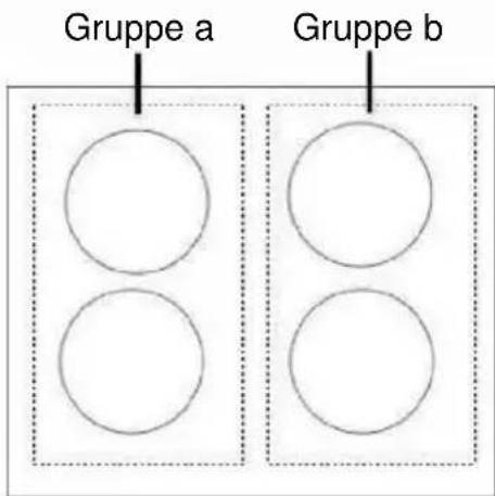 Gruppe a Gruppe b