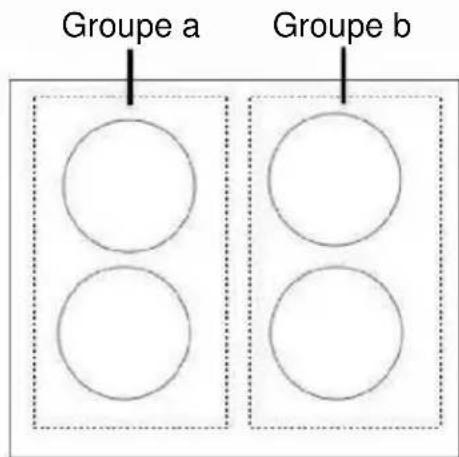 Groupe a Groupe b