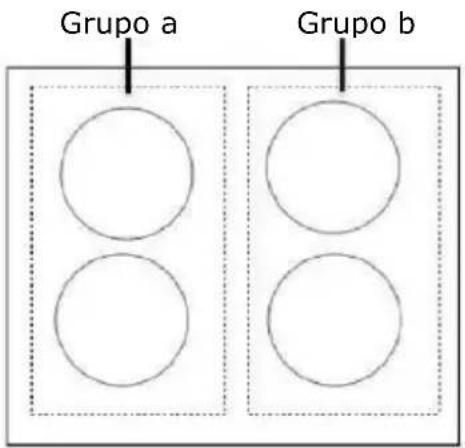 Grupo a Grupo b