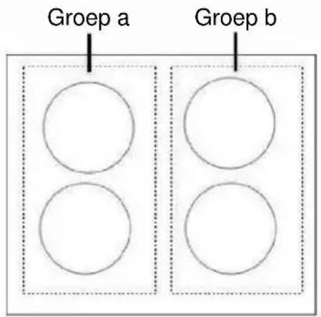 Groep a Groep b
