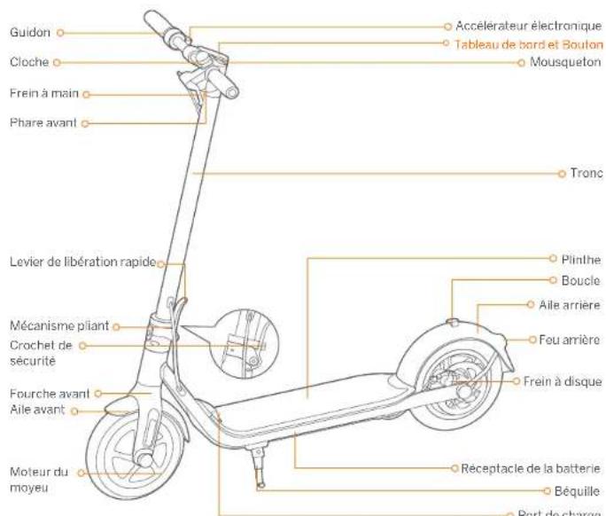 SEGWAY Ninebot KickScooter F30 - Diagramme - 1