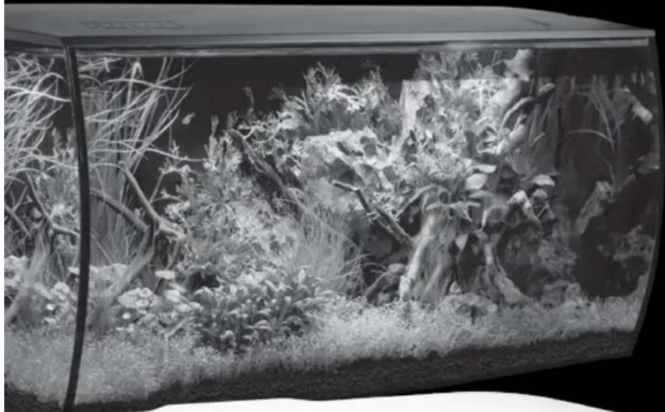Fluval Flex - 1