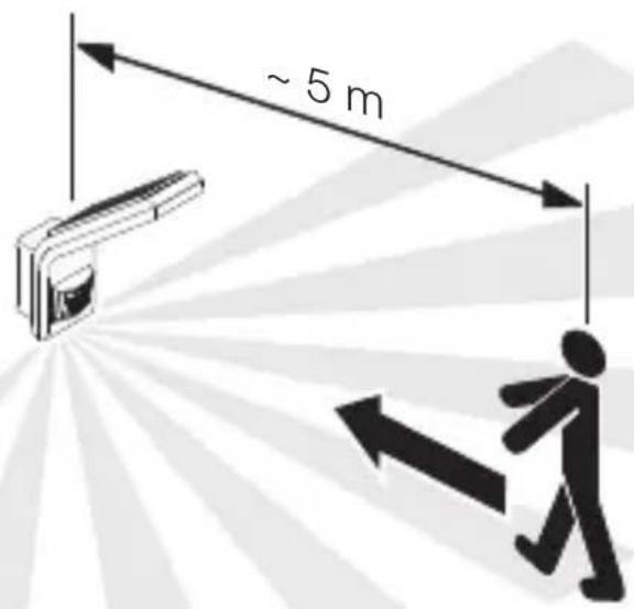 ~ 5 m