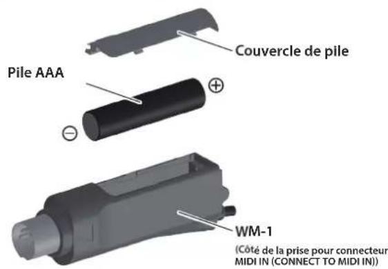 ROLAND WM1D - Mise en place des piles - 1
