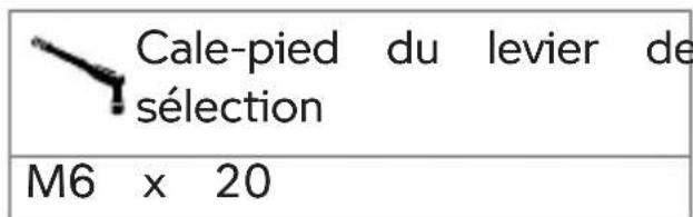 BMW R 1250 GS (2022) - Réglage du cale-pied du levier de sélection - 2