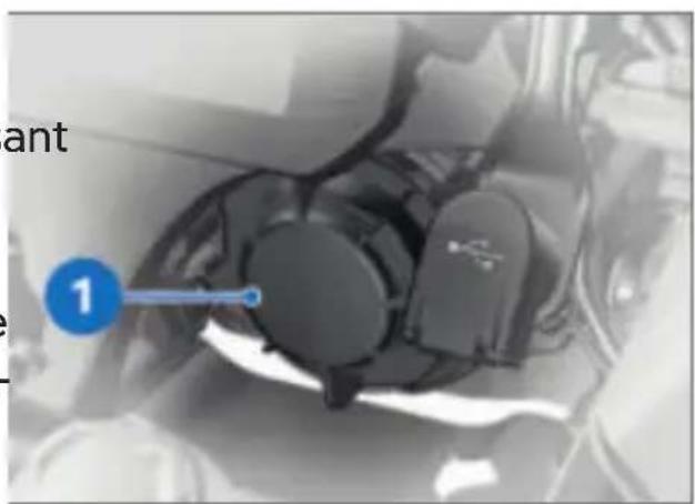 BMW R 1250 GS Adventure (2022) - Remplacement de l'ampoule du feu de position - 1
