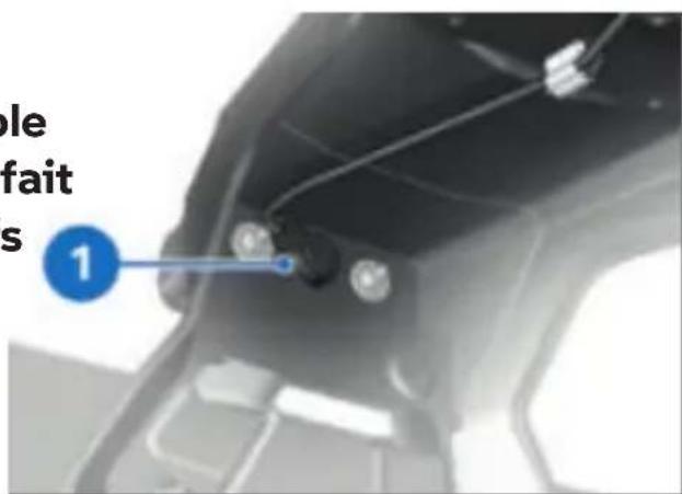 BMW F 850 GS (2022) - Déposer la lampe de l'éclairer de plaque - 1