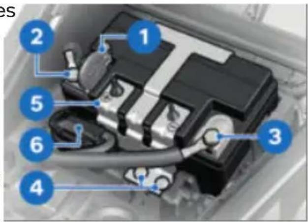 BMW F 850 GS (2022) - Déposer la batterie - 1