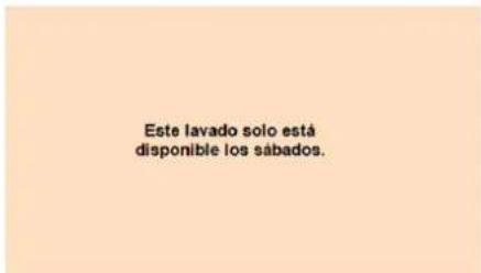 Este lavado solo está disponible los sábados.