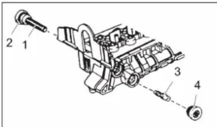 Kärcher WS Regenerator - Injecteur de la soupape de commande - 1