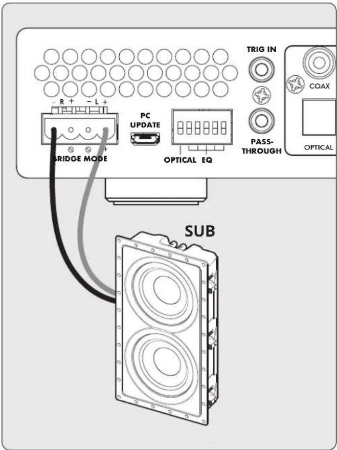 Paradigm X500 - Subwoofer Connection: - 1