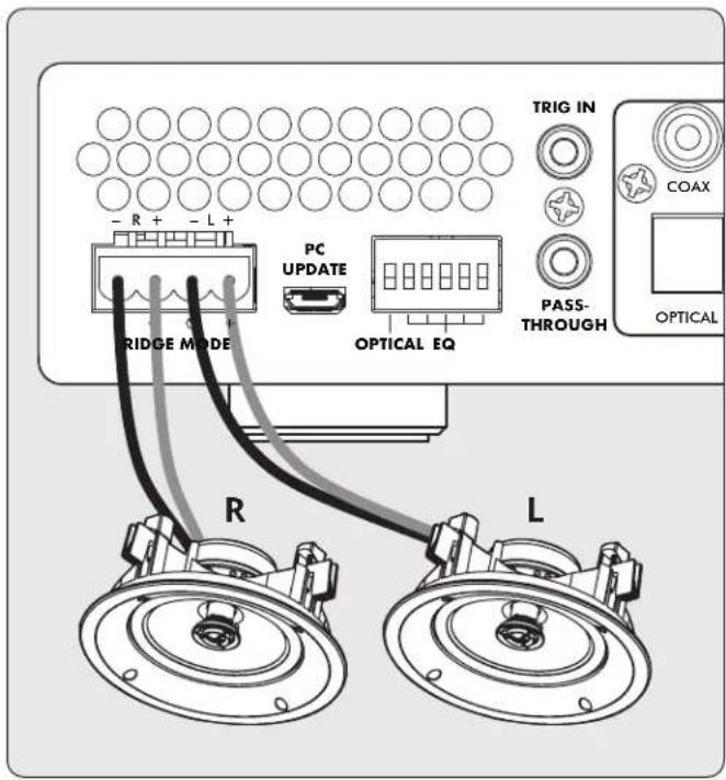 Paradigm X500 - Speaker Connection(s): - 1