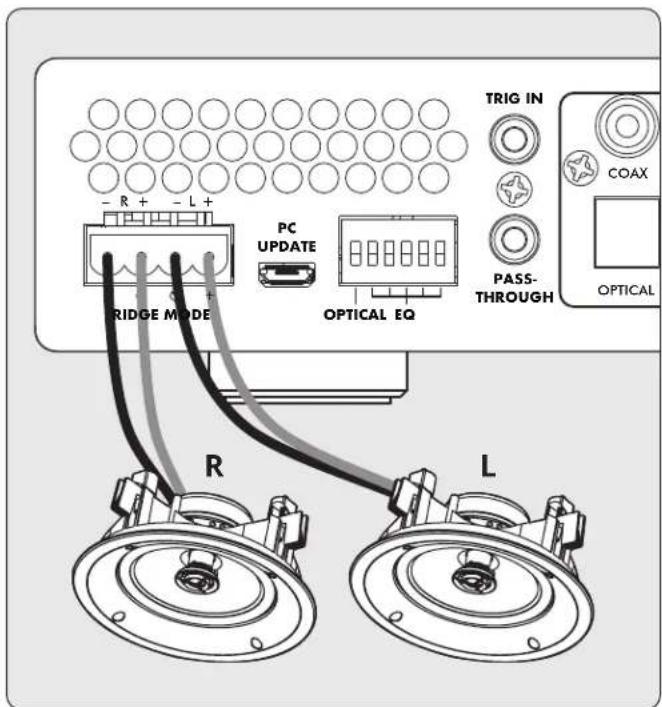Paradigm X500 - Connexion(s) des haut-parleurs : - 1