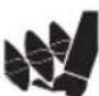 EGO SSA1200 - SAFETY INSTRUCTIONS - 5