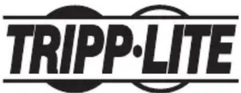 Tripp Lite B203101INDER - 1