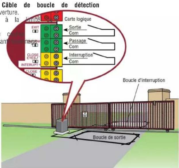 LIFT-MASTER LMWEKITU - SHADOW (passage) (2 bornes) - 1