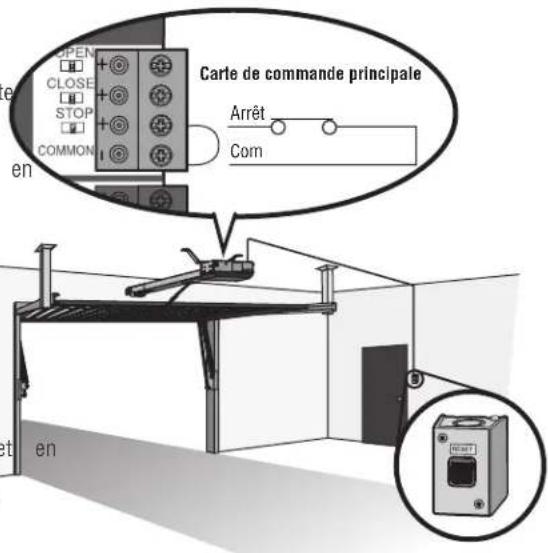 LIFT-MASTER HCT16 - Câblage - 1