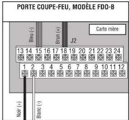 LIFT-MASTER LC36M41 - Câblage de l'alimentation - 3