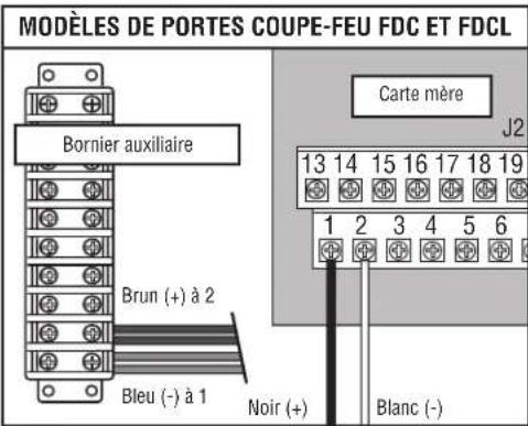 LIFT-MASTER LC36M41 - Câblage de l'alimentation - 6