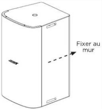 BOSE DesignMax DM10SSub - Options d'installation - 2